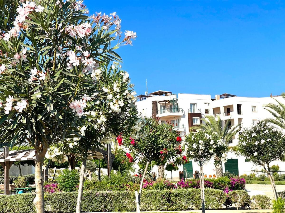 Relaxing Penthouse Suites By The Sea Vokolidha 외부 사진