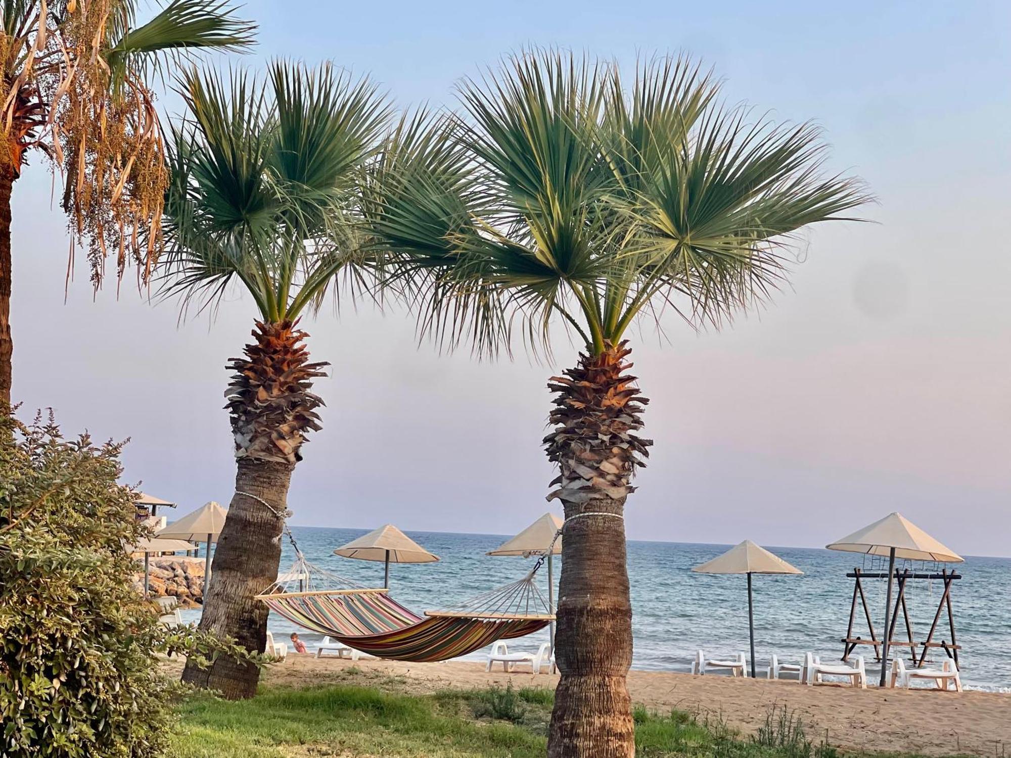 Relaxing Penthouse Suites By The Sea Vokolidha 외부 사진